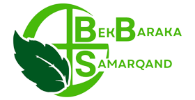 Логотип партнёра bekbaraka